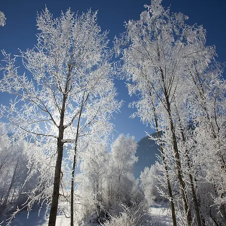 Appartement In Near Jochberg Lift *